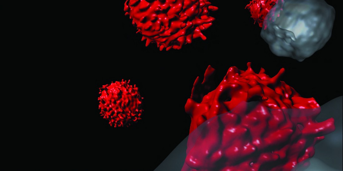 Antigen Detection by T cells